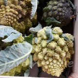 CHOU FLEUR Romanesco