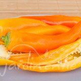 POIVRON Corno di Toro jaune