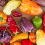 POIVRON Poivrons en mélange