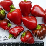 POIVRON Caviar Calabrais