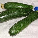 COURGETTE Verte de Milan (Black beauty)