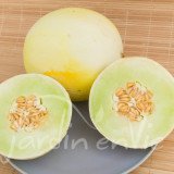 MELON Rosée de miel