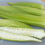 OKRA ou Gombo