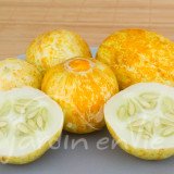CONCOMBRE Citron (Lemon)