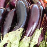 AUBERGINE Barbentane (sélection frais et humide)