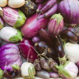 AUBERGINE en mélange